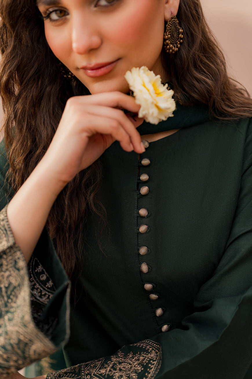 Olive Aura